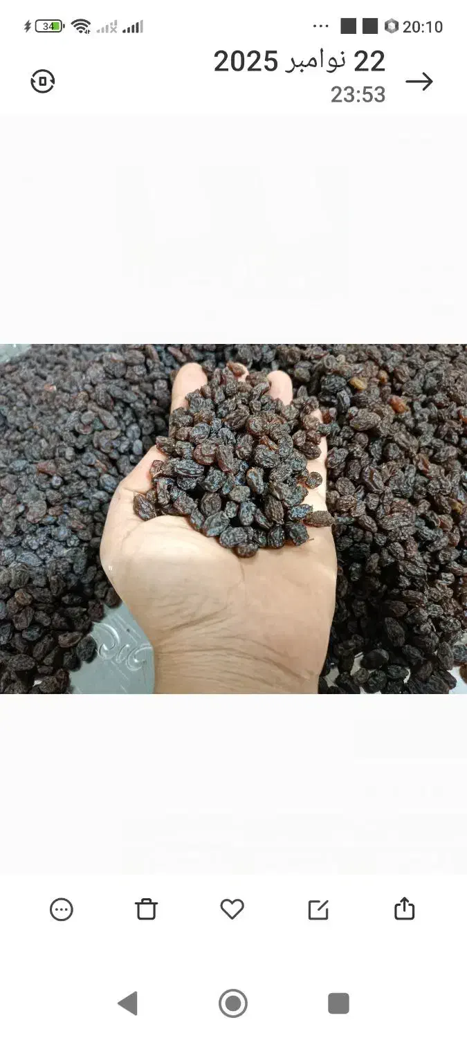 کشمش آفتابی|خوردنی و آشامیدنی|بناب, |دیوار