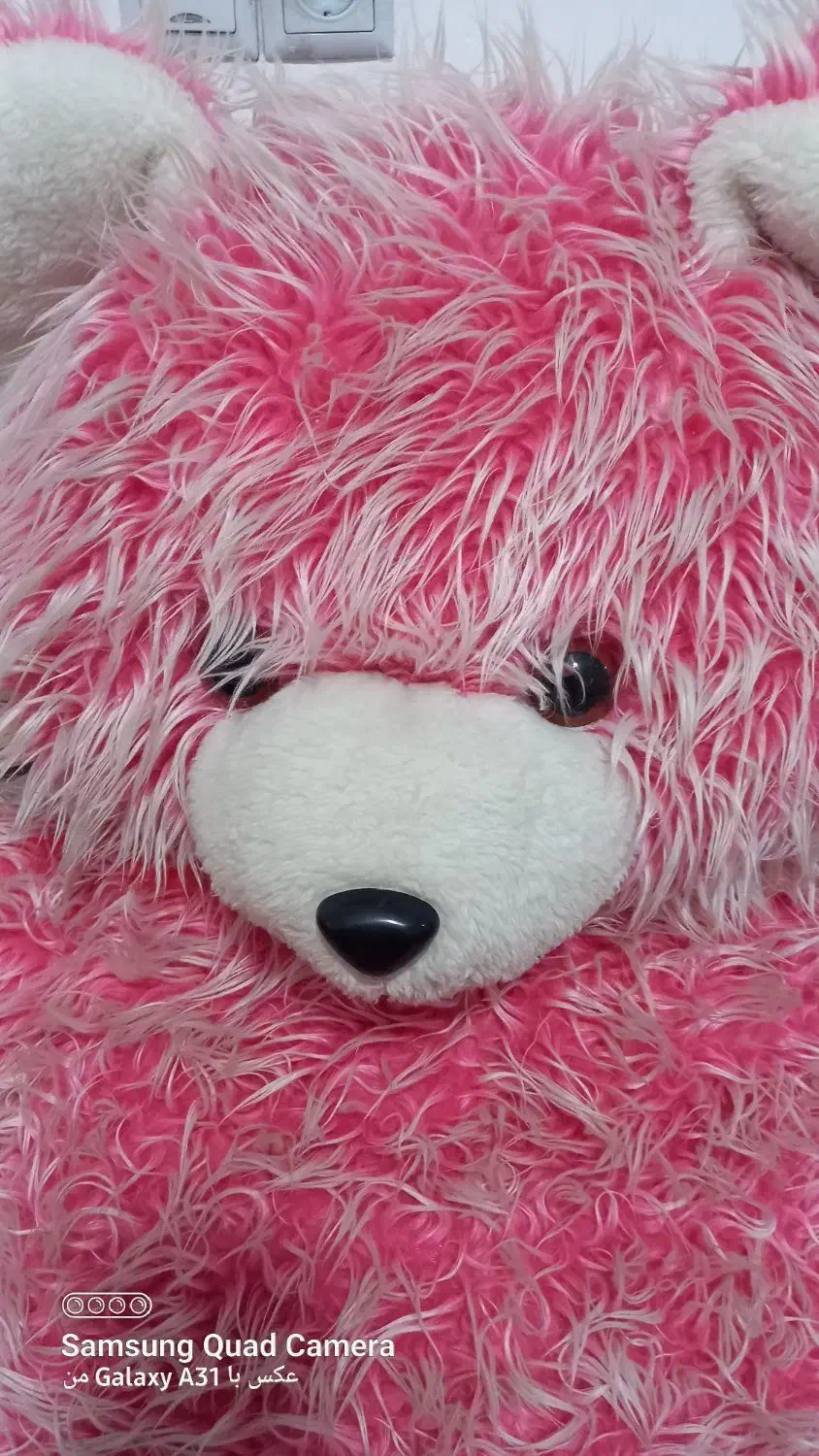 خرس صورتی|اسباببازی|قزوین, |دیوار