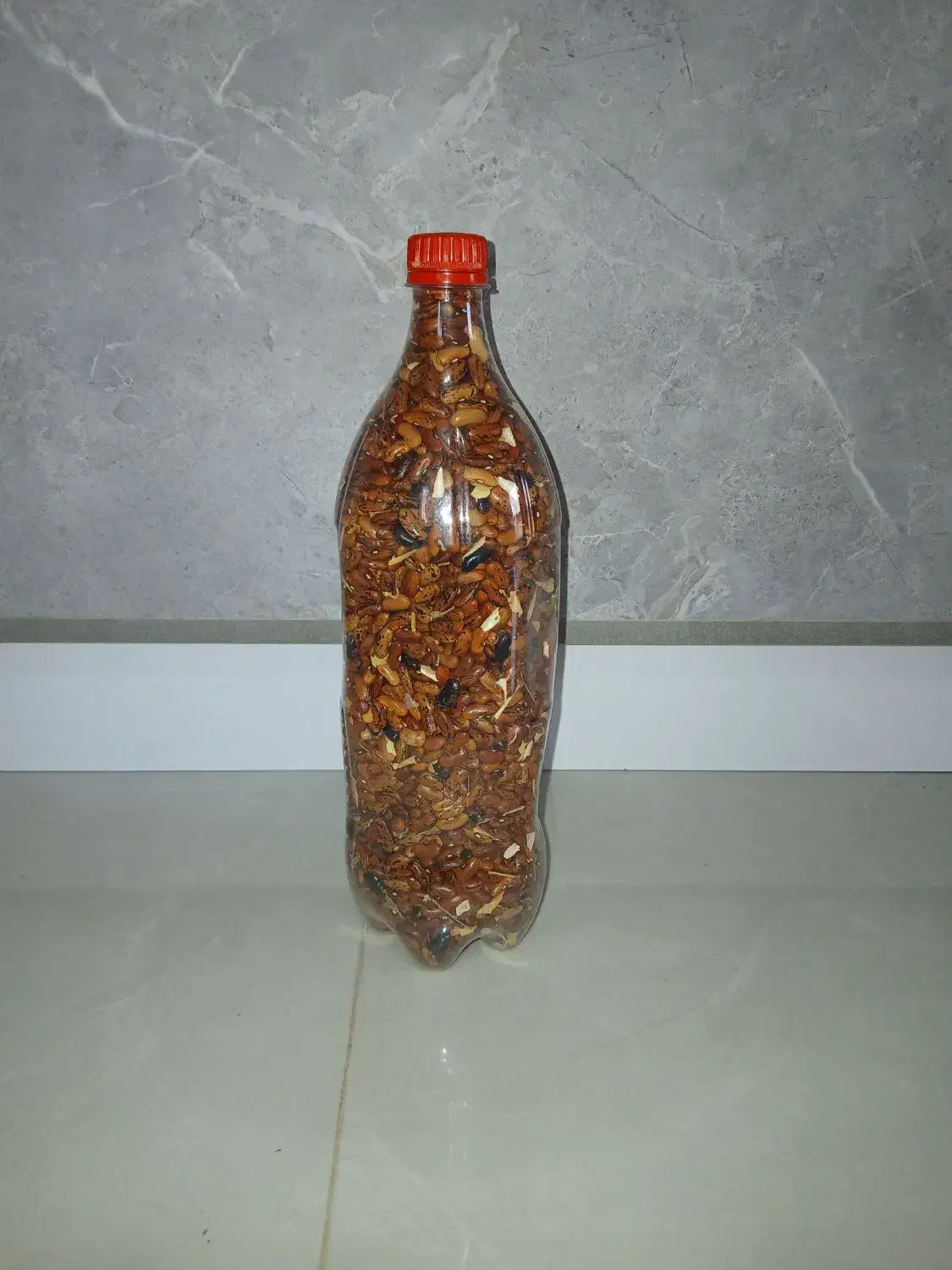 باقلا خشک شده برای کاشتن|خوردنی و آشامیدنی|رشت, فلسطین|دیوار