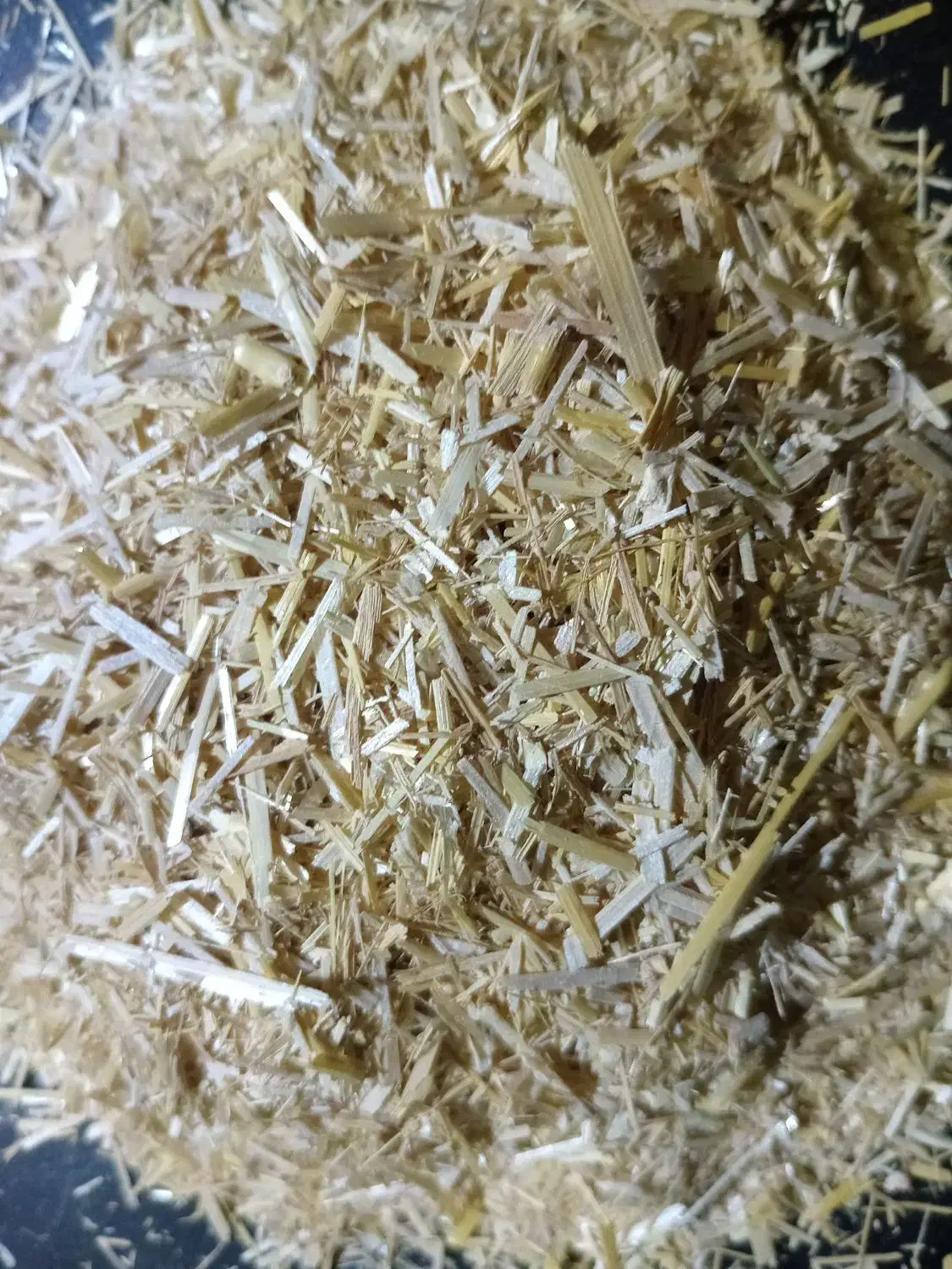 کاه گندم فروشی|عمدهفروشی|نگین شهر, |دیوار