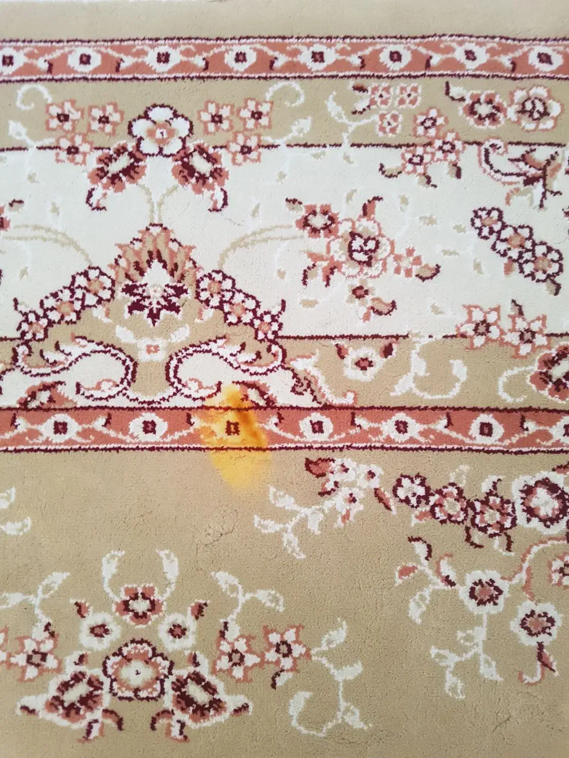 دوتخته فرش مشهد|فرش|نیشابور, شهرک اندیشه|دیوار