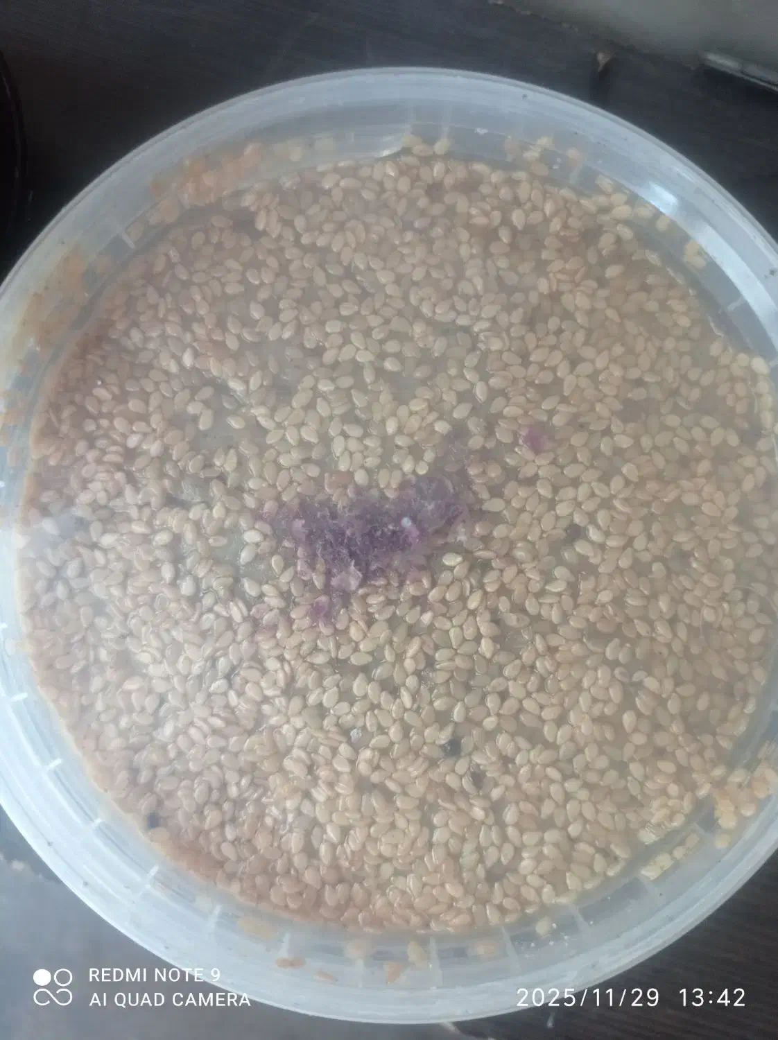 محصولات ارگانیک و طبیعی|خوردنی و آشامیدنی|تهران, بهارستان|دیوار