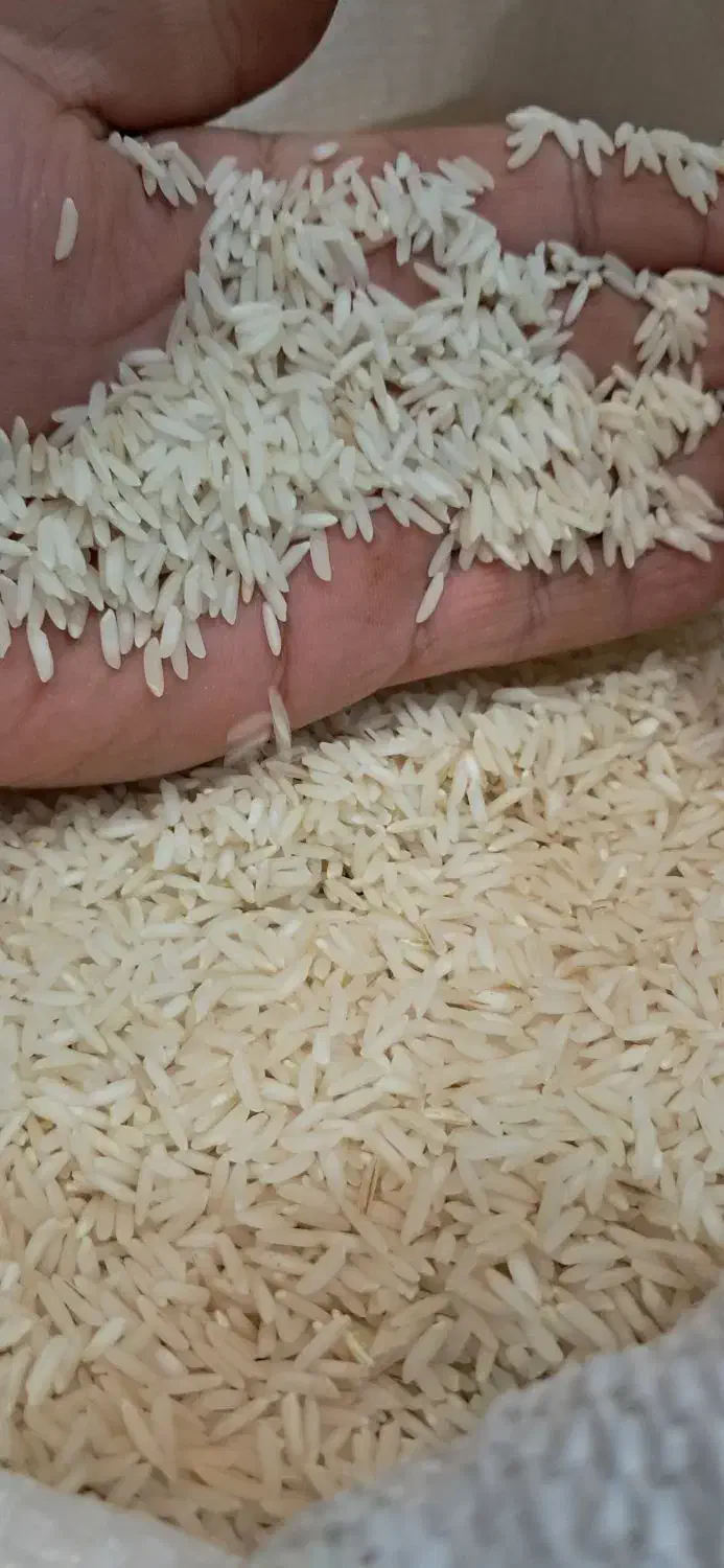 برنج هاشمی اعلاودرجه یک|خوردنی و آشامیدنی|رشت, پل تالشان|دیوار