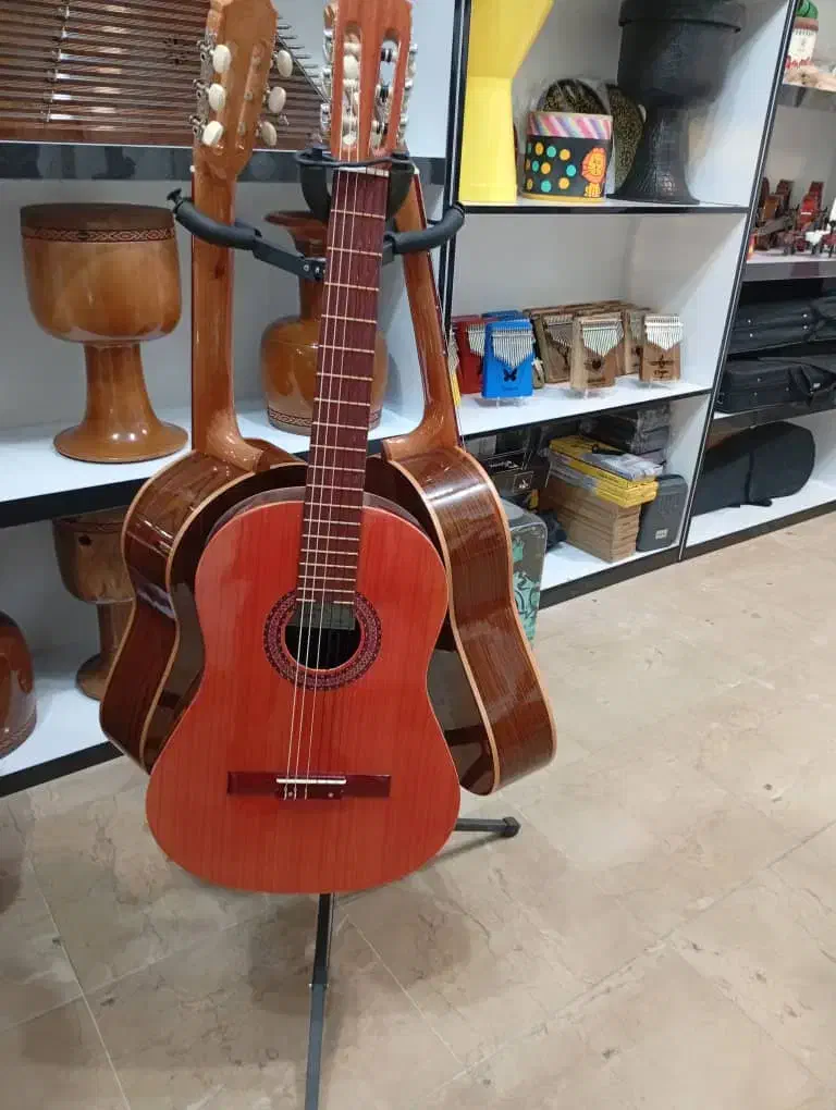 فروش انواع گیتار از مبتدی تا حرفه ای|گیتار، بیس، امپلیفایر|خمینی‌شهر, |دیوار