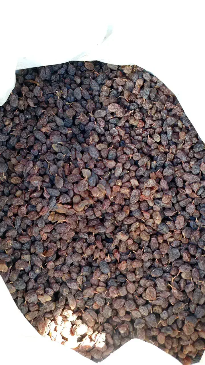 کشمش افتابی ،پلویی،پاک شده درجه یک|خوردنی و آشامیدنی|ملایر, |دیوار