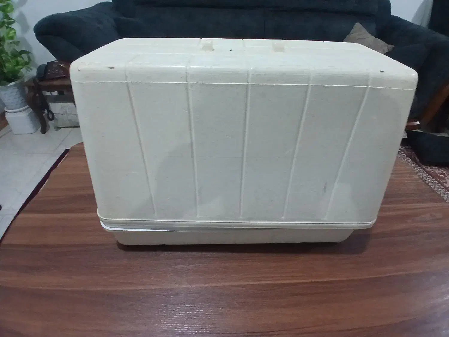 چرخ خیاطی مارشال|کلکسیون اشیاء عتیقه|رشت, ولکس|دیوار