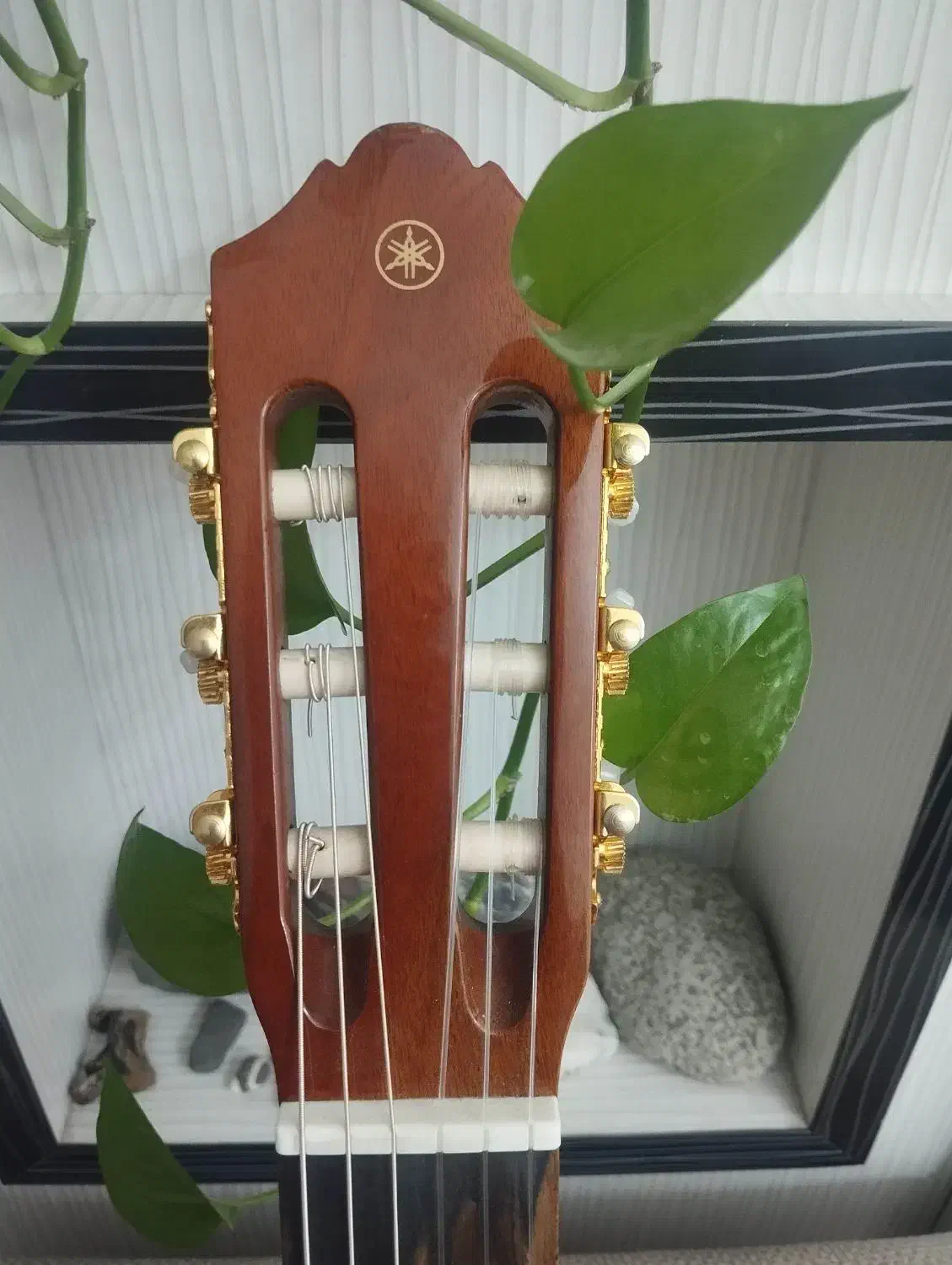 گیتار یاماهاc70|گیتار، بیس، امپلیفایر|اندیشه, اندیشه فاز ۵|دیوار