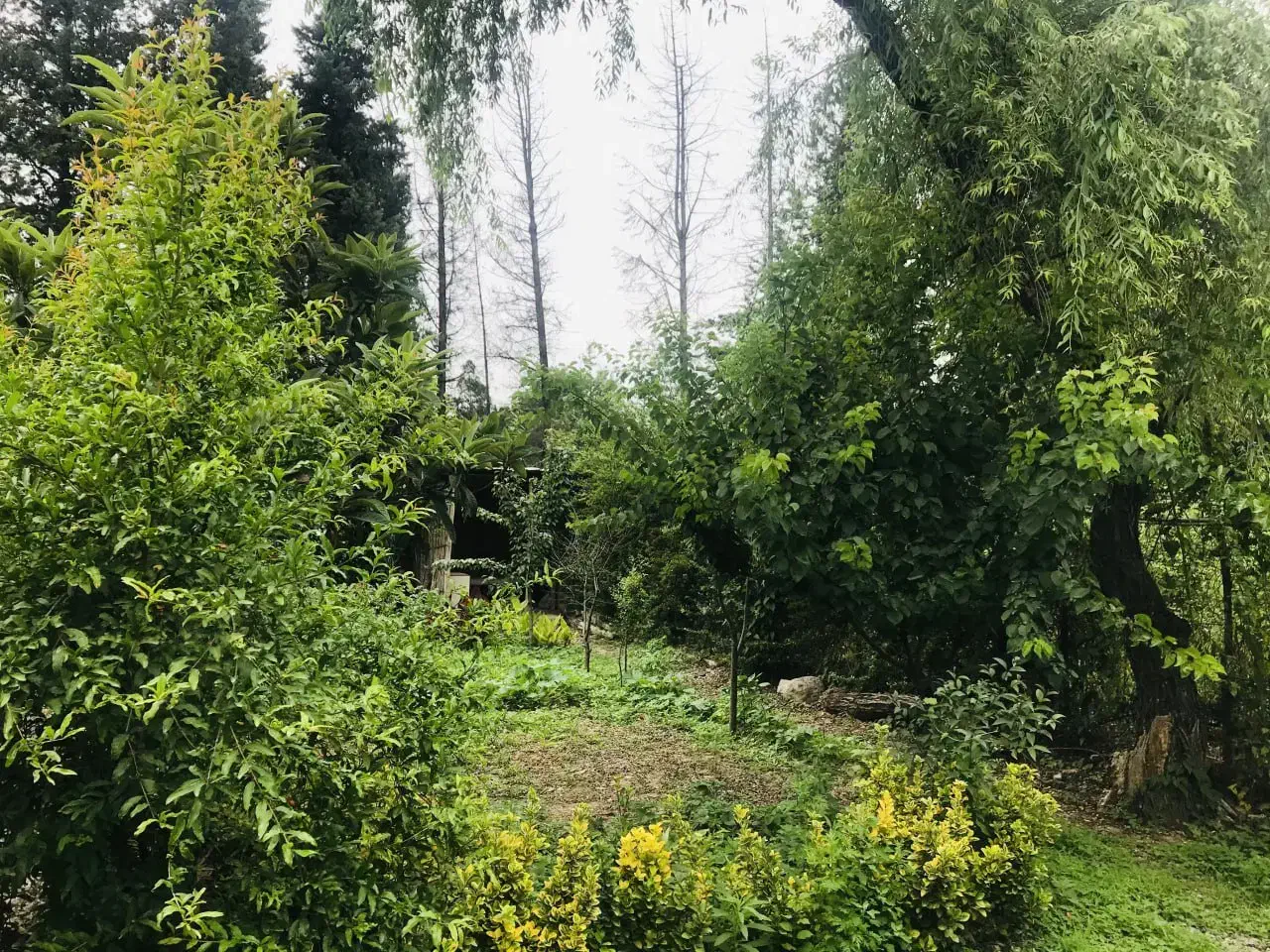 اجاره یک قطعه زمین|اجارهٔ دفتر صنعتی، کشاورزی، تجاری|گرگان, |دیوار