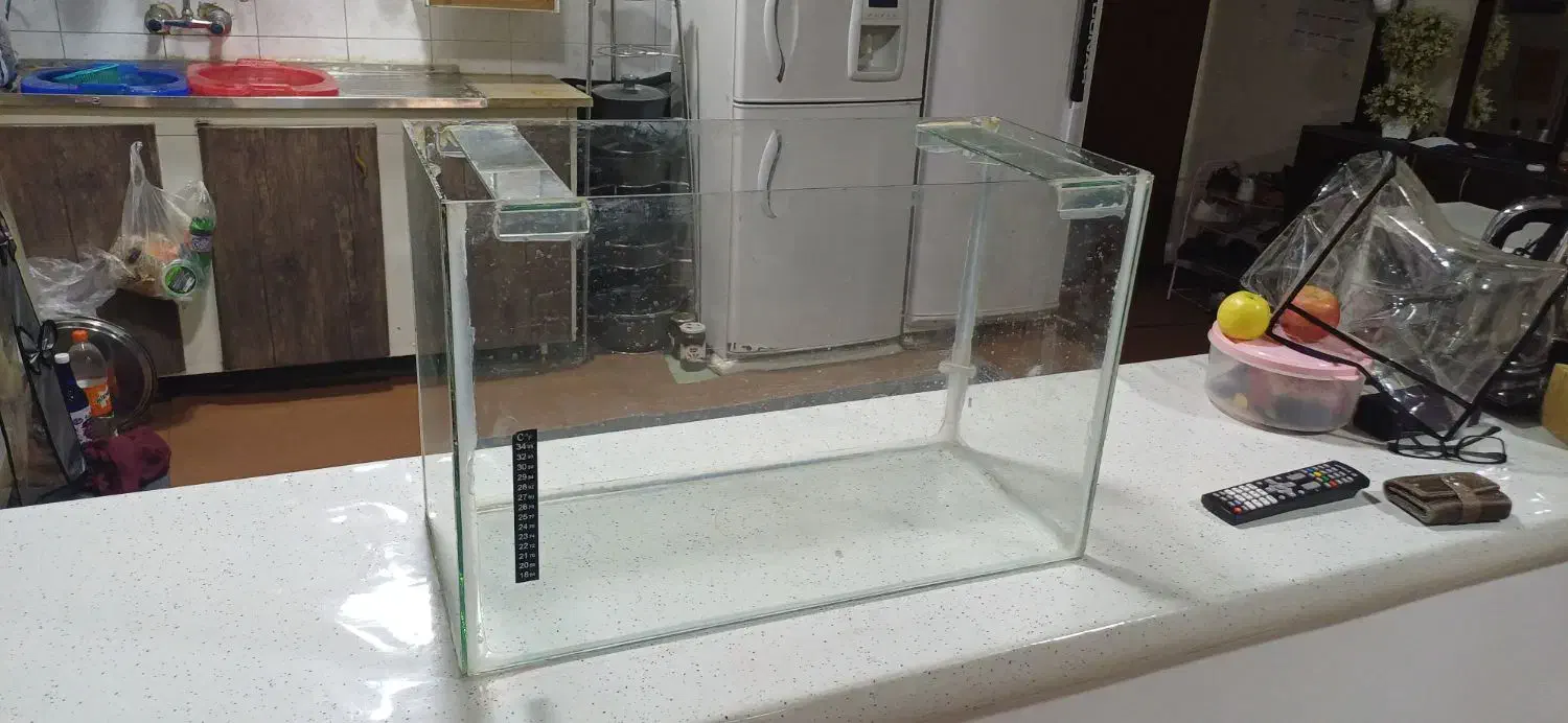 شیشه آکواریوم|ماهی|دوگنبدان, |دیوار