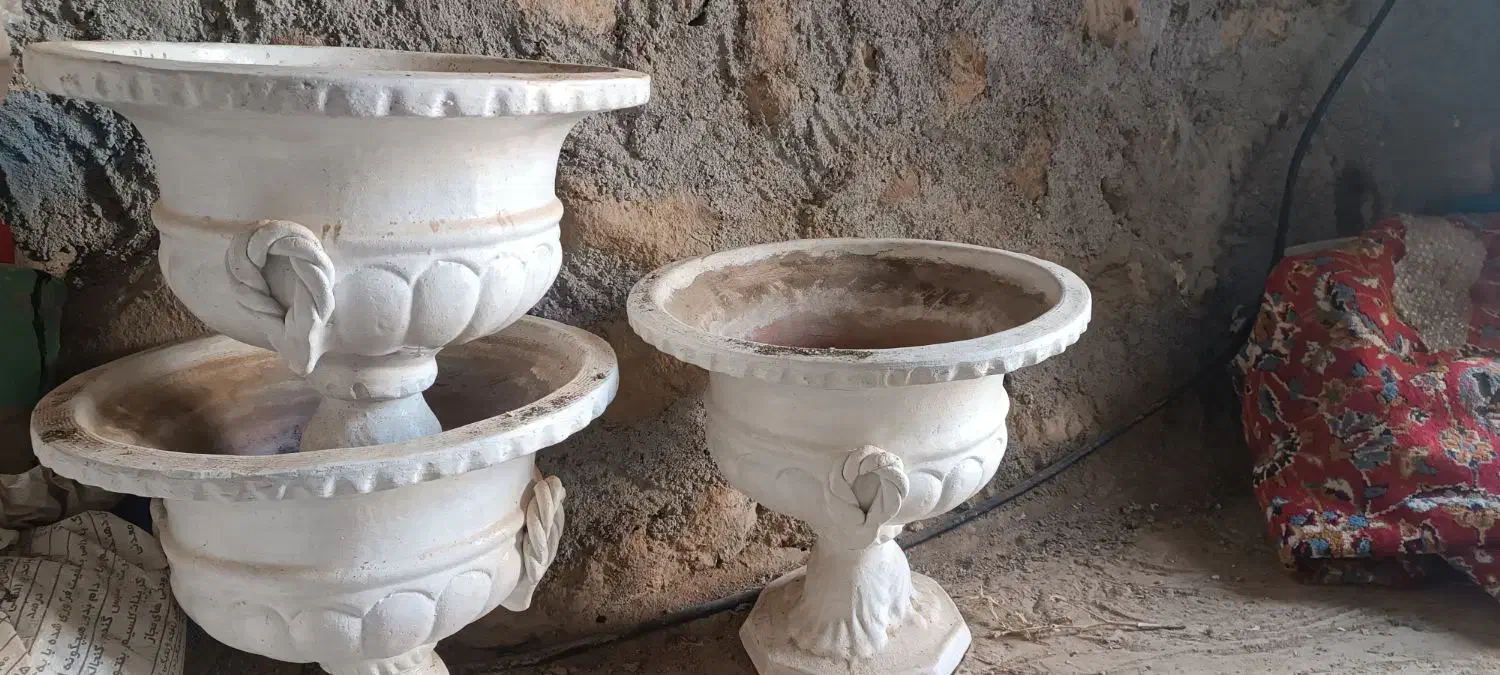 گلدان|گل و گیاه طبیعی|تربت جام, میان جام|دیوار