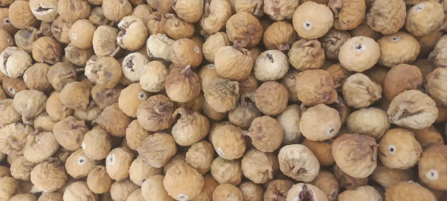 انجیر دیم گاز نخورده استهبان|خوردنی و آشامیدنی|قم, بلوار امین و ساحلی|دیوار