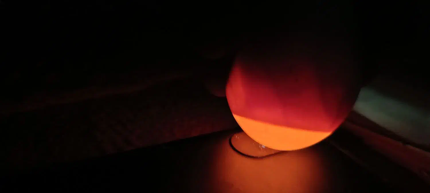 تخم مرغ نطفه|حیوانات مزرعه|اردبیل, |دیوار