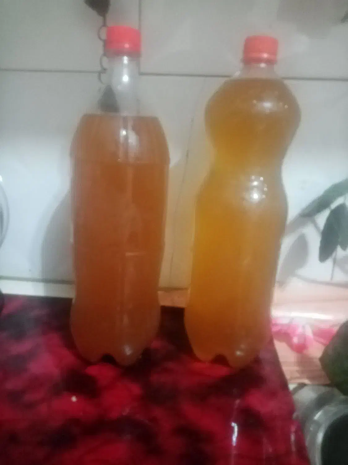 سرکه سیب و انگور|خوردنی و آشامیدنی|بناب, |دیوار