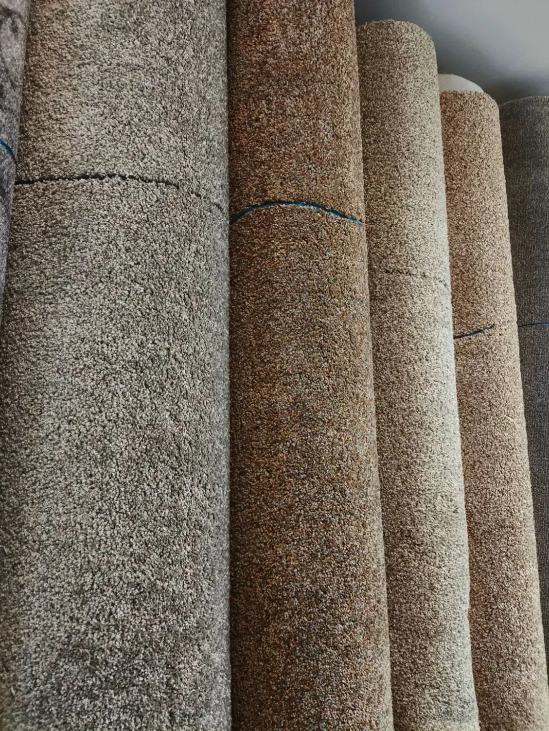 موکت(پرزبلند تراکم بالا)مدل سیدنی ظریف مصور ۷۰۰|موکت|قم, نیروگاه|دیوار