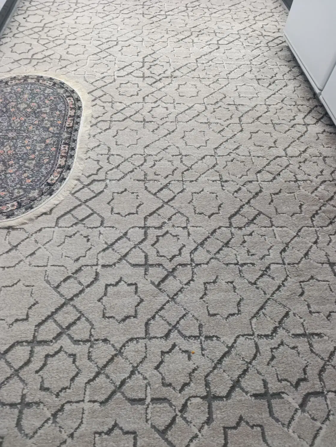 گلیم آشپزخانه ۹متری|گلیم، جاجیم، گبه|مریوان, |دیوار