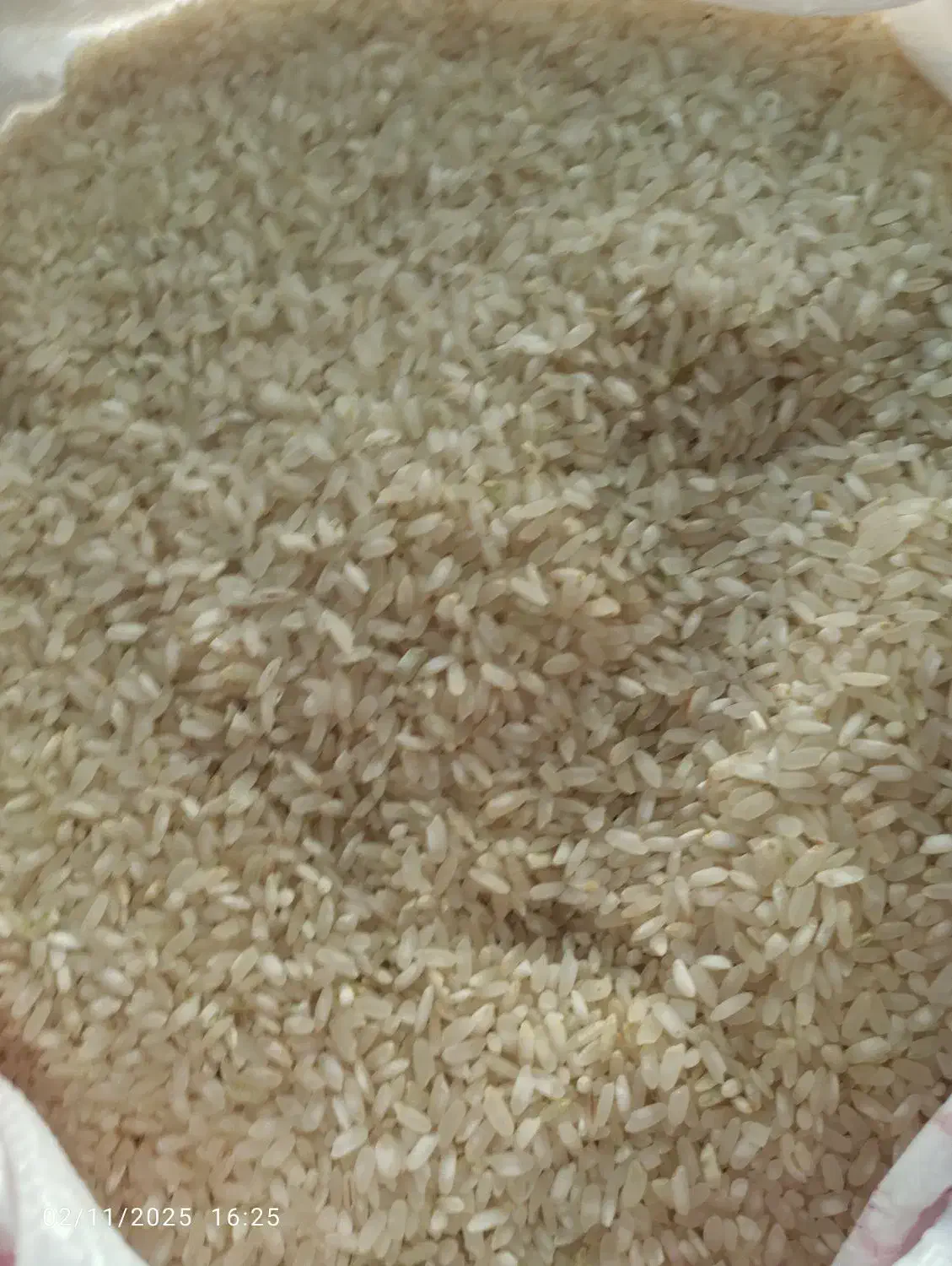 برنج و برنج نیم دانه اصل کامفیروزی|خوردنی و آشامیدنی|کر, |دیوار