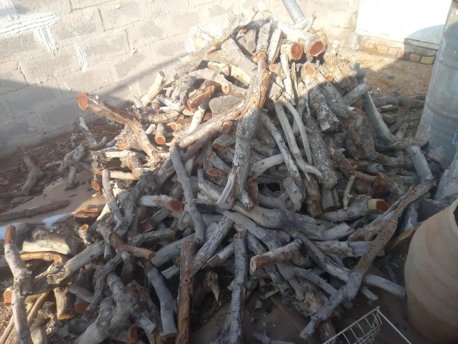 بریدن درخت|خدمات باغبانی و درختکاری|اردکان, |دیوار