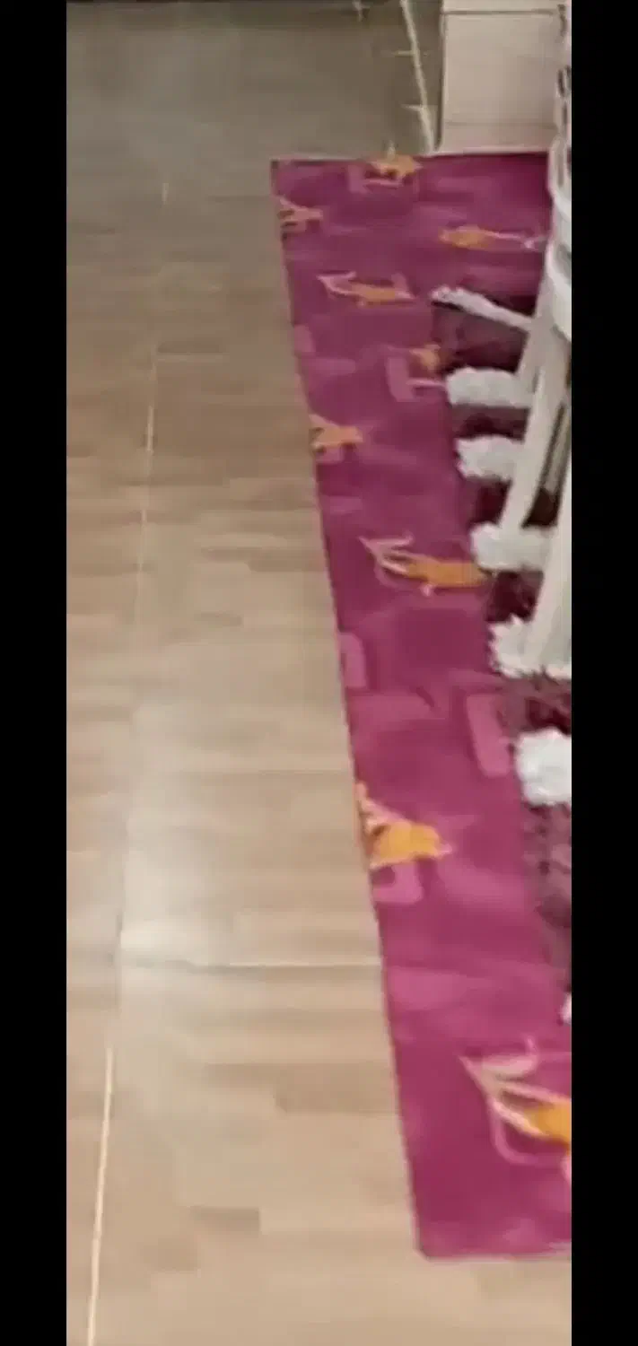 موکت خوش رنگ|عمده‌فروشی|اندیمشک, |دیوار