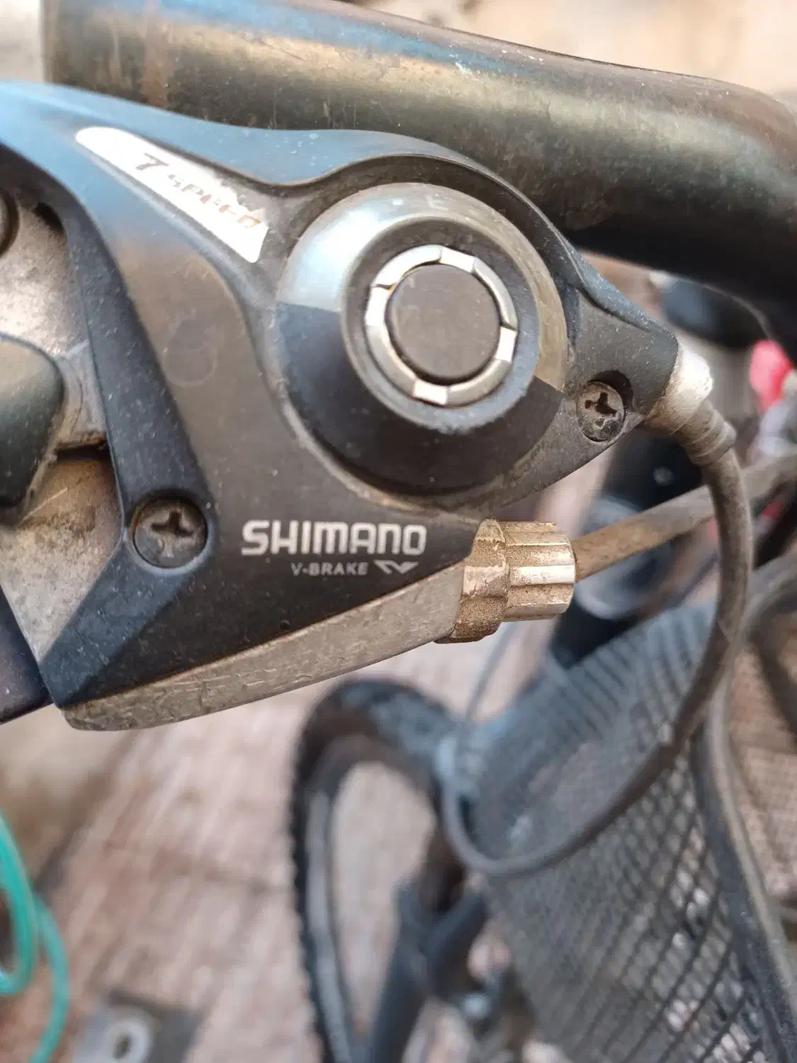 دوچرخه ویوا امگا|دوچرخه، اسکیت، اسکوتر|تبریز, |دیوار