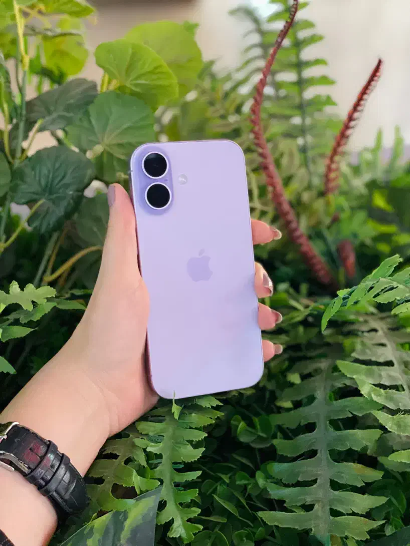 آیفون ۱۷ نرمال / iphone 17 normal|موبایل|تهران, شهرک غرب|دیوار