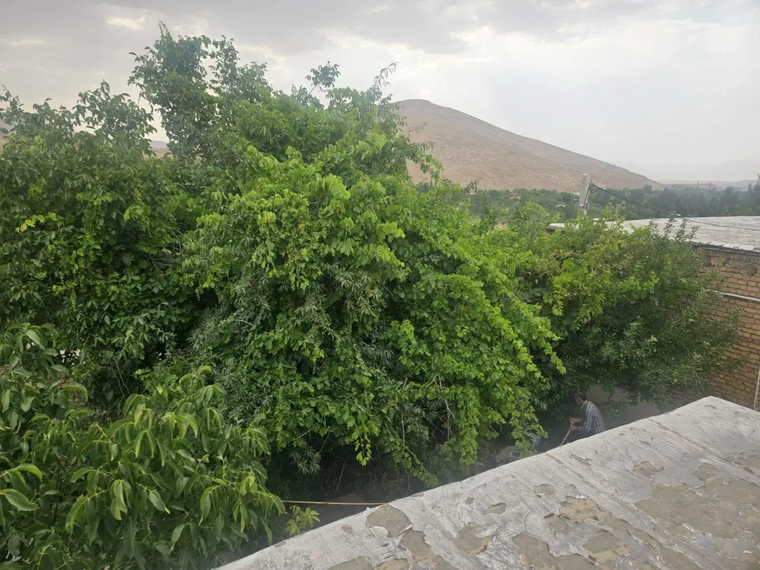 فروش خانه ویلایی  در روستای  زیبای مهرگرد  (سمیرم)|فروش خانه و ویلا|وردشت, |دیوار