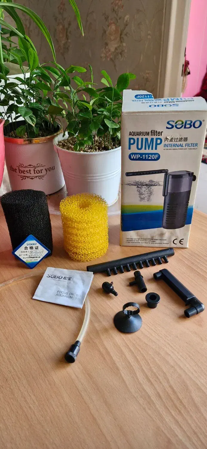 آکواریم و تصفیه و اکسیژن آب|ماهی|تهران, جیحون|دیوار