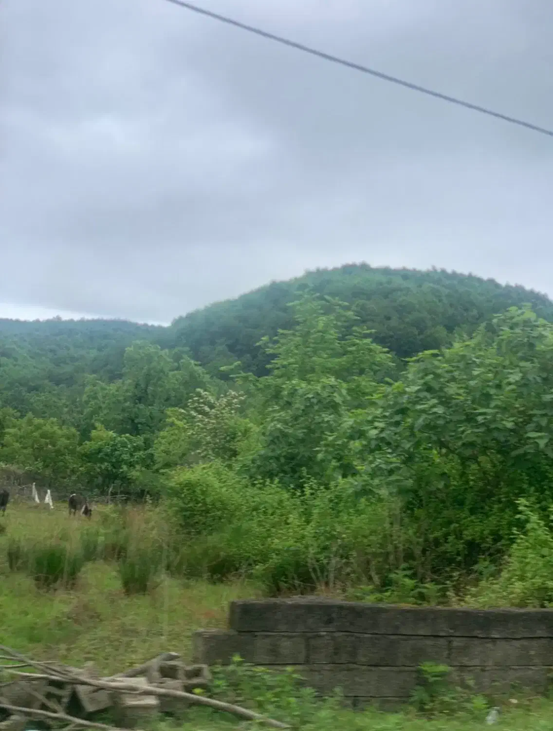 207متر زمین در نعمت اباد|فروش زمین و ملک کلنگی|خرم‌آباد (تنکابن), |دیوار