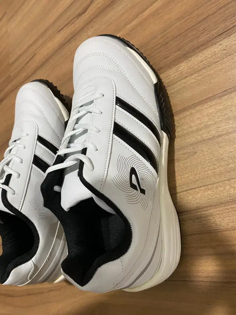 کتونی پاما نو مدل ۳۰۳۳۱ زیر قیمت نمایندگی|کیف، کفش، کمربند|لاهیجان, کوی آزادگان|دیوار