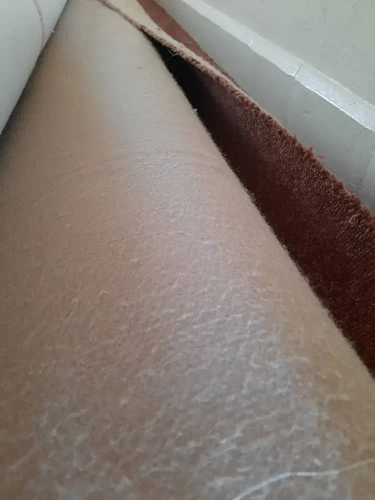 پالاز موکت رنگ قهوه ای|موکت|بوشهر, |دیوار