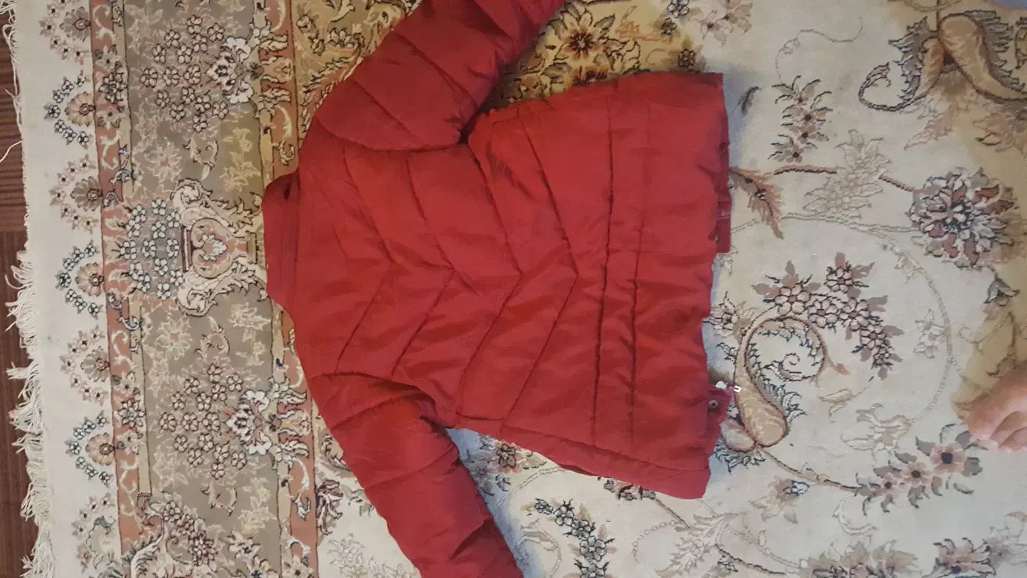 فروش کاپشن دخترانه|لباس|بندرعباس, |دیوار