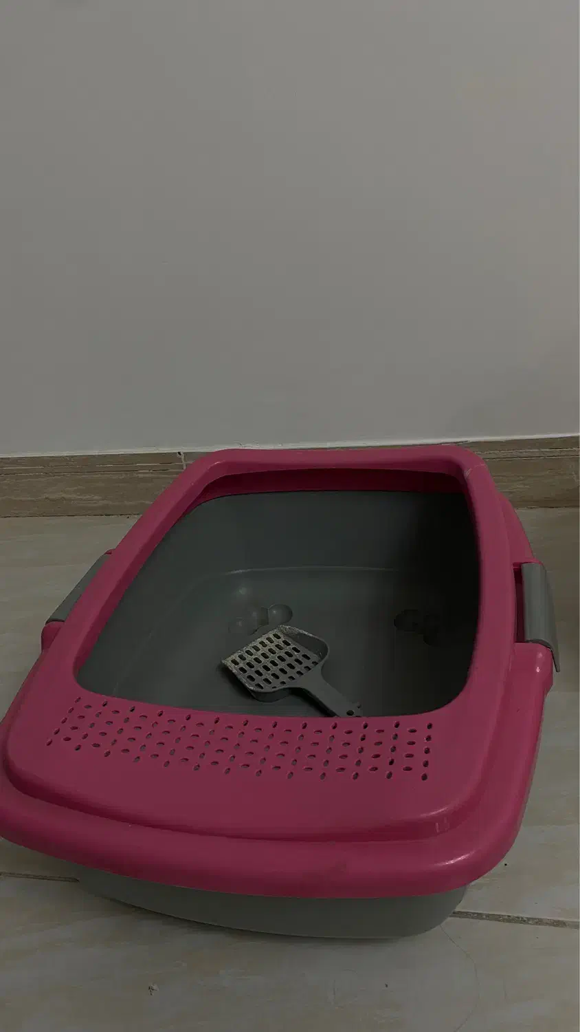 وسایل گربه|لوازم جانبی حیوانات|قزوین, |دیوار