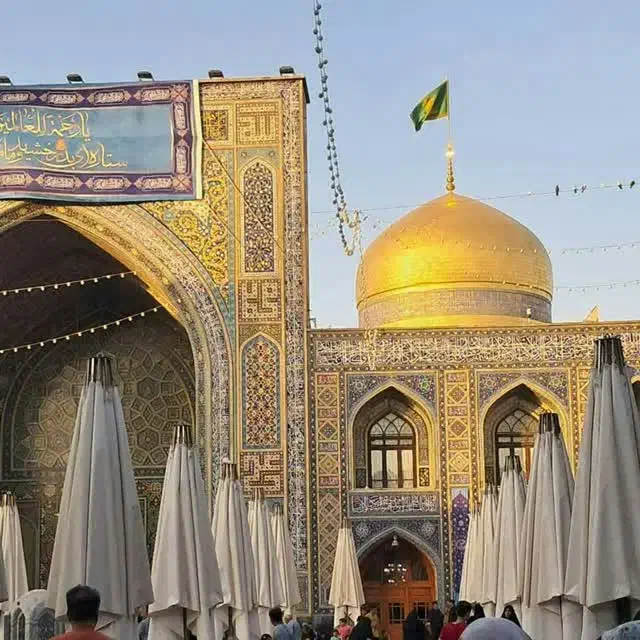 یاضامن آهو|تور و چارتر|زنجان, |دیوار