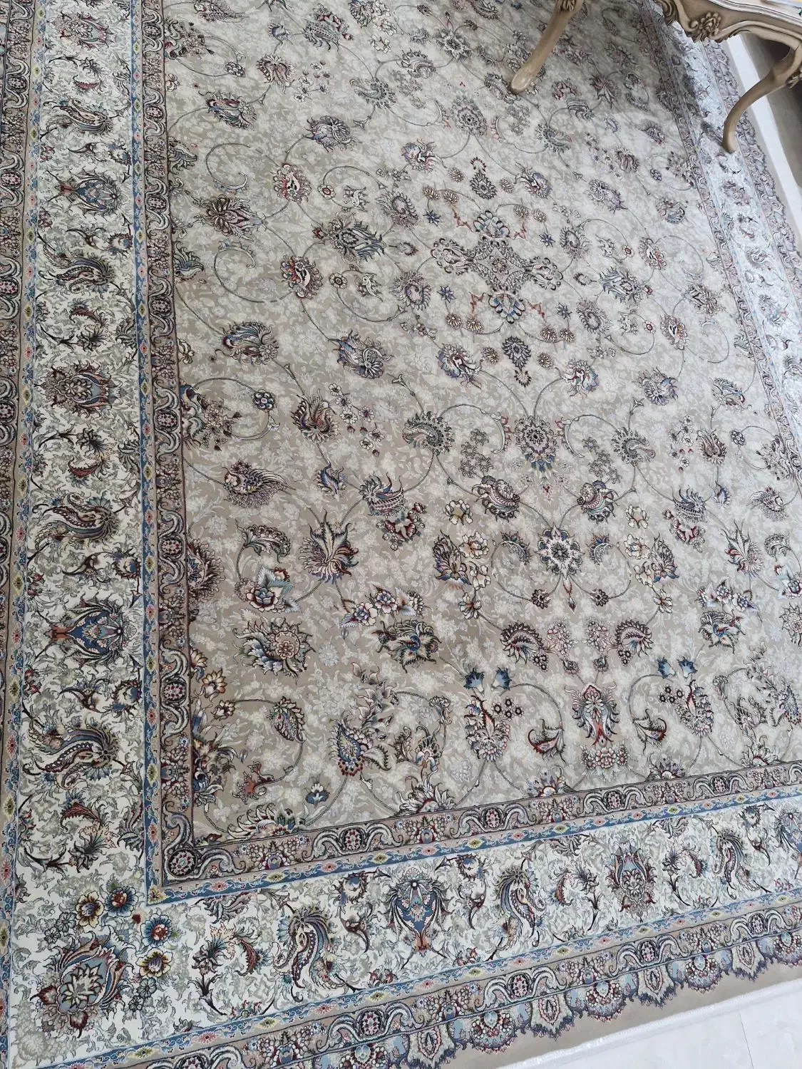 فرش اکباتان|فرش|بندر انزلی, شاکوچه|دیوار