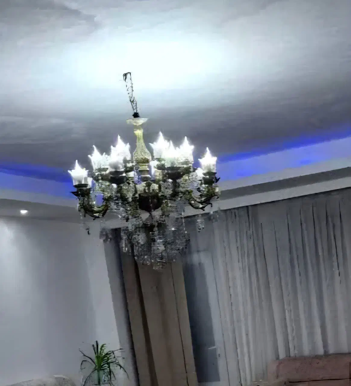 لوستربرنز|لوستر و چراغ آویز|فردیس, شهرک ارم|دیوار