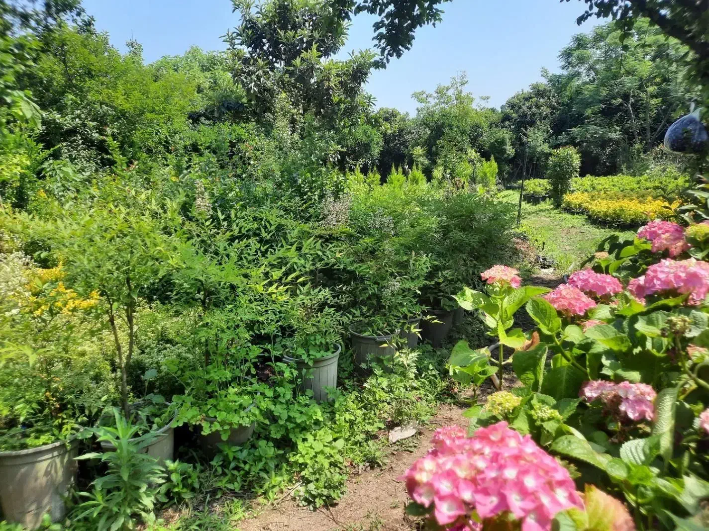 زمین مسکونی  ۱۱۰۰ متر|فروش زمین و ملک کلنگی|چابکسر, |دیوار