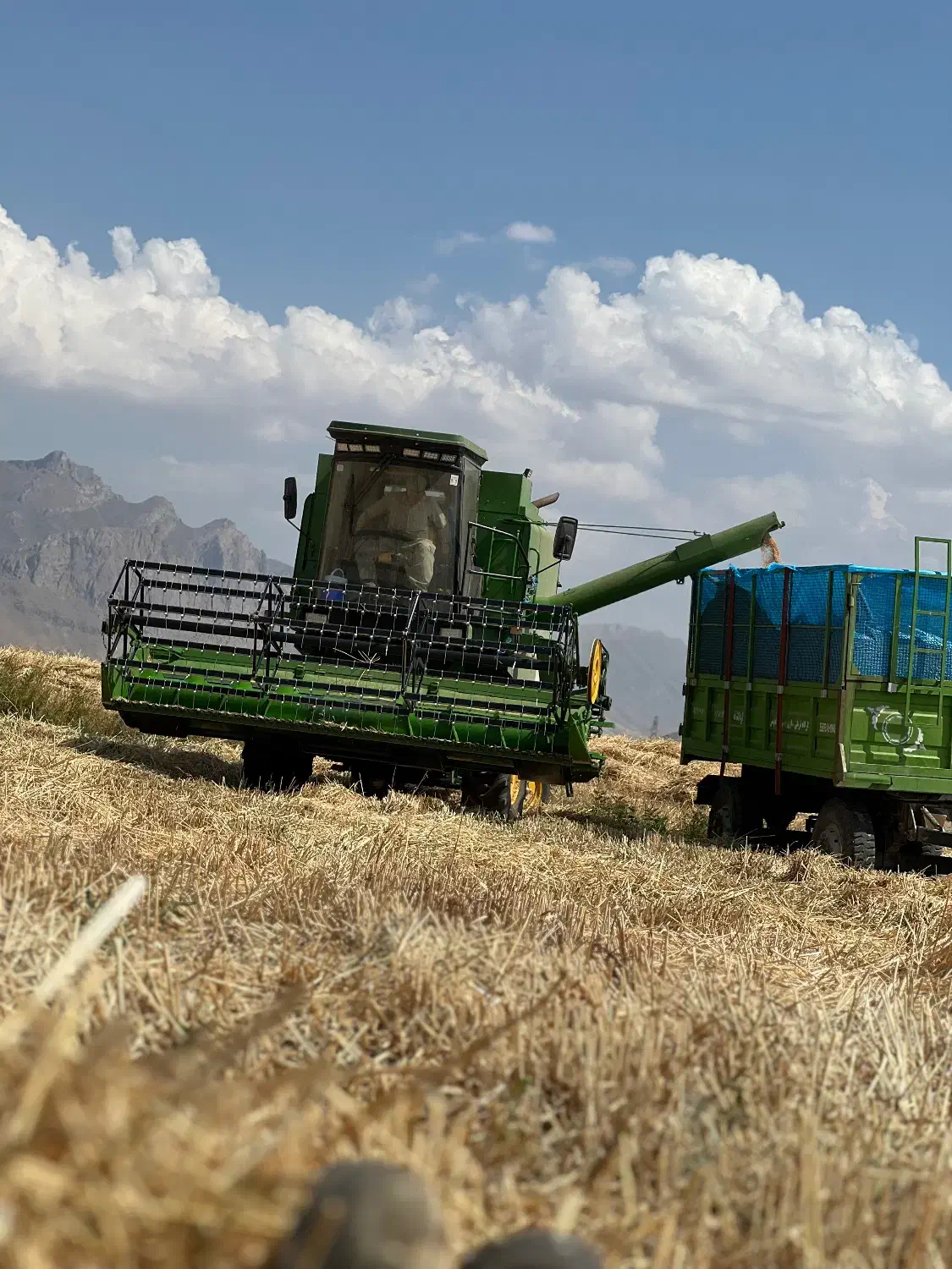 کمباین جاندر کلش مدل۴۰۳ درحد خشک ۸۰۰ ساعت کار|خودرو سنگین|لاجان, |دیوار