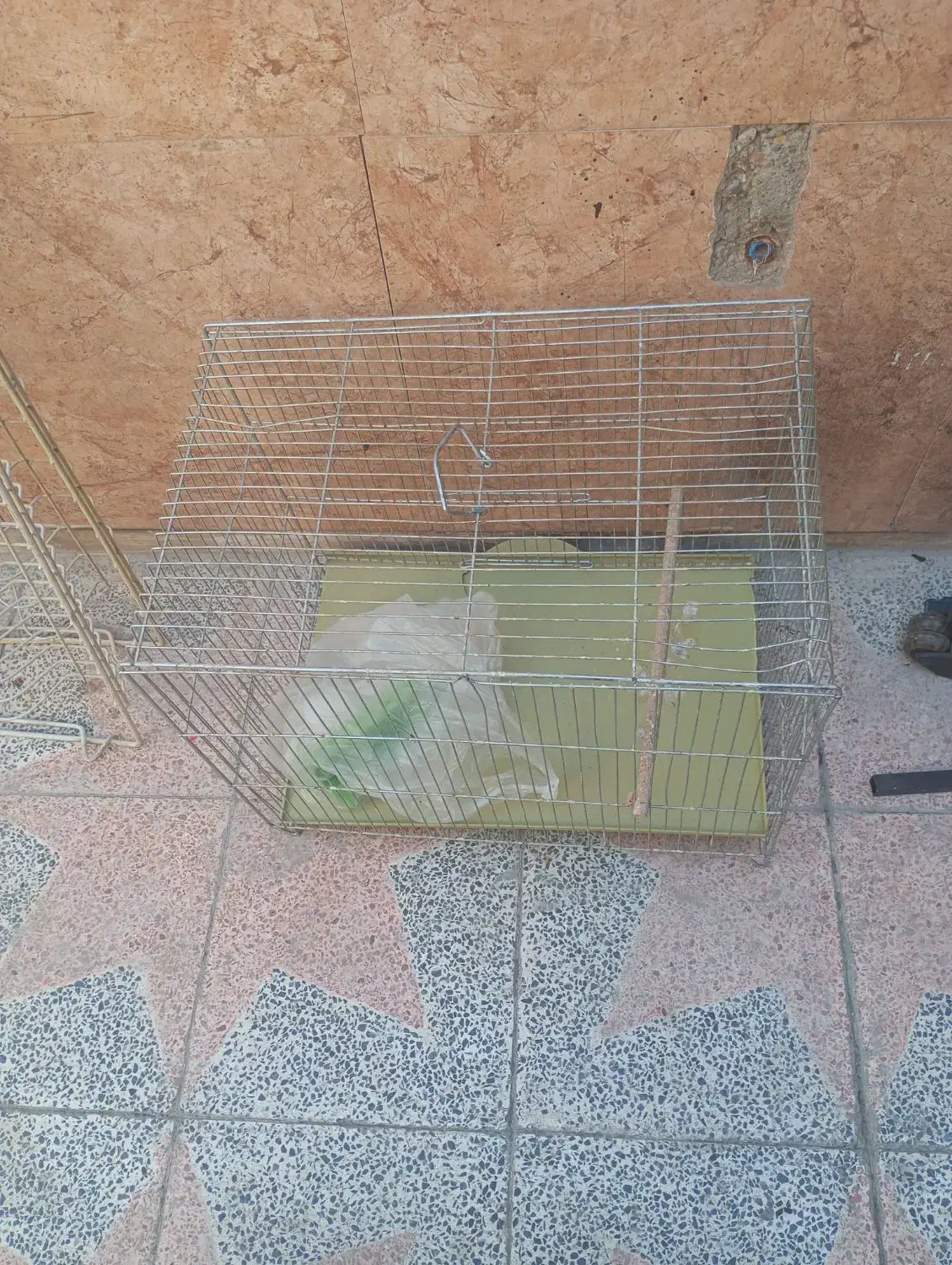 قفس|لوازم جانبی حیوانات|اصفهان, حصه شمالی|دیوار