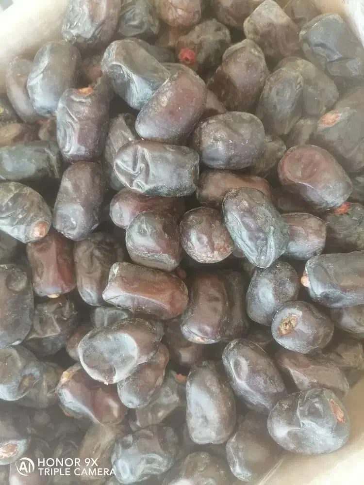 خرمای مضافتی|خوردنی و آشامیدنی|بم, |دیوار