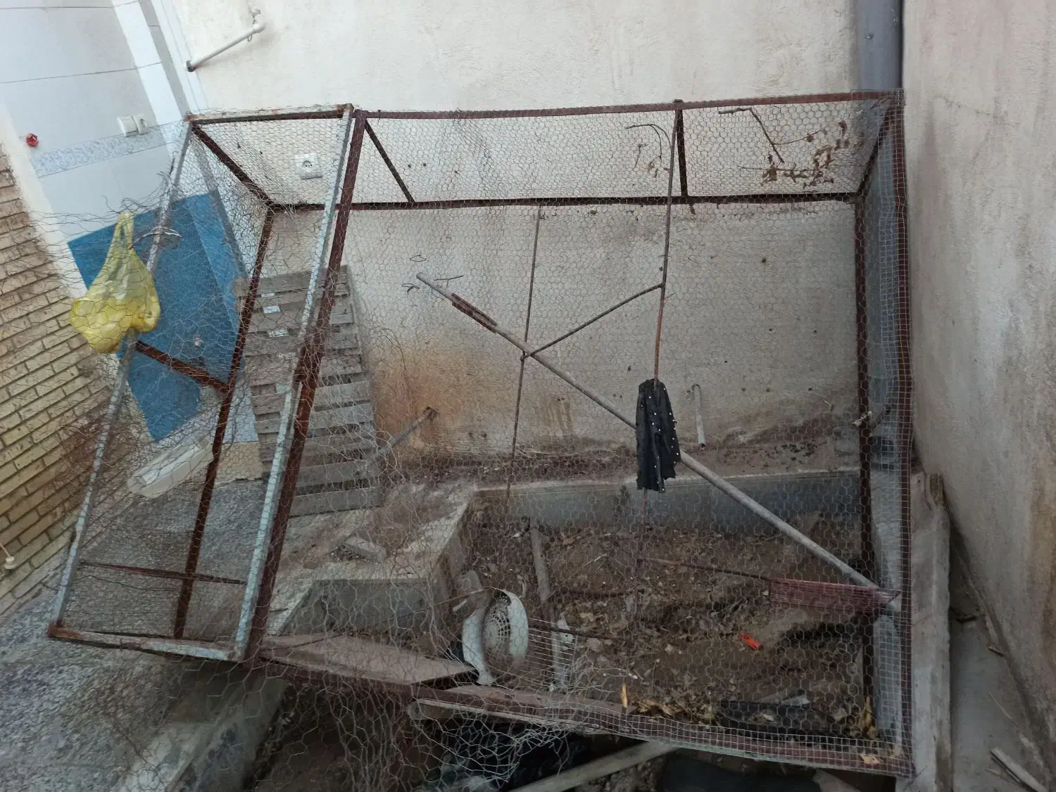 قفس فروشی|کتابخانه، شلف، قفسه‌های دیواری|بندرعباس, |دیوار