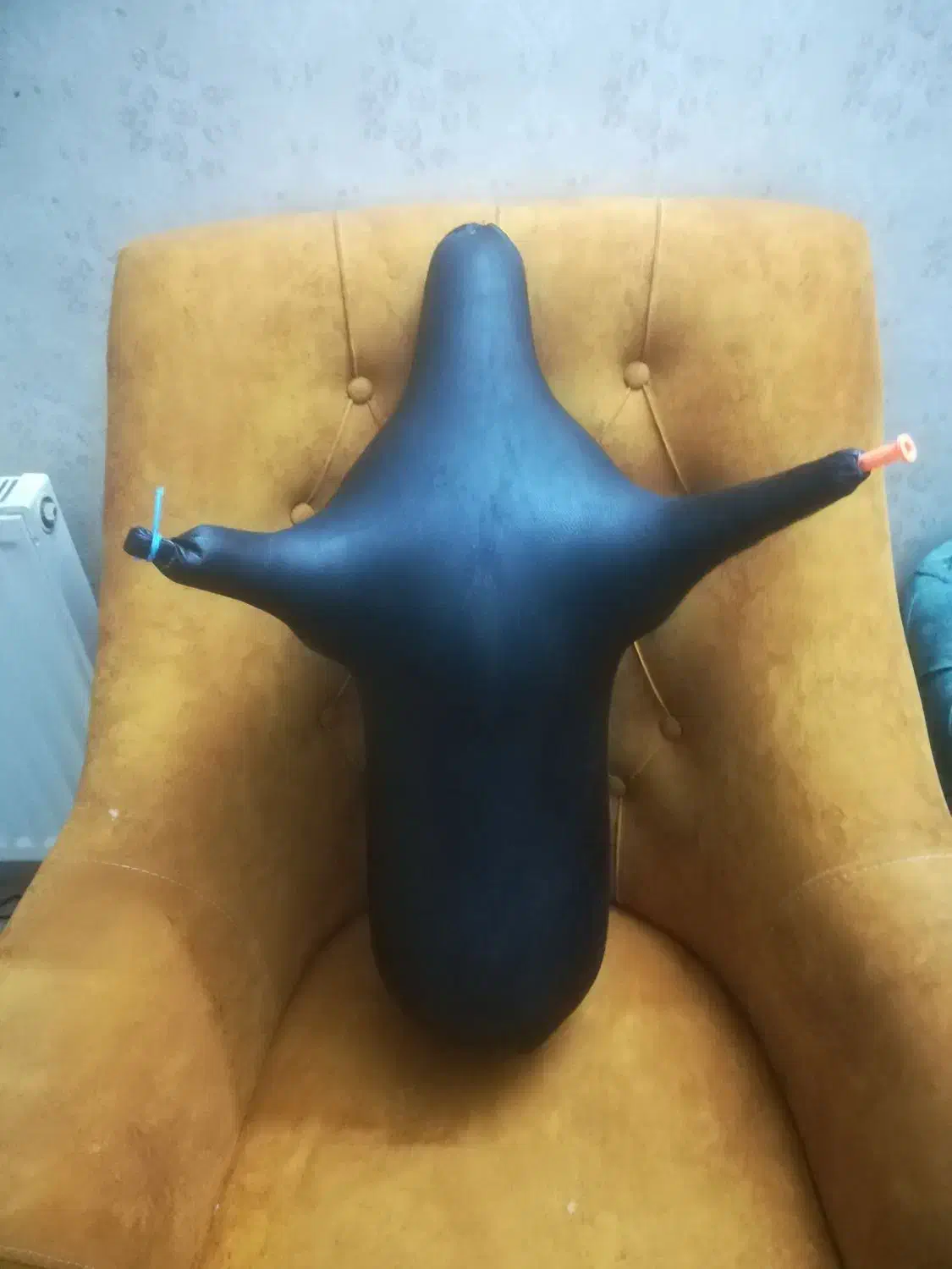 ساز نی انبان|سازهای بادی|یزد, |دیوار