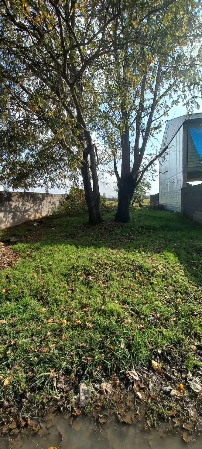 فروش زمین باغی و مسکونی|فروش زمین و ملک کلنگی|رشت, منظریه|دیوار