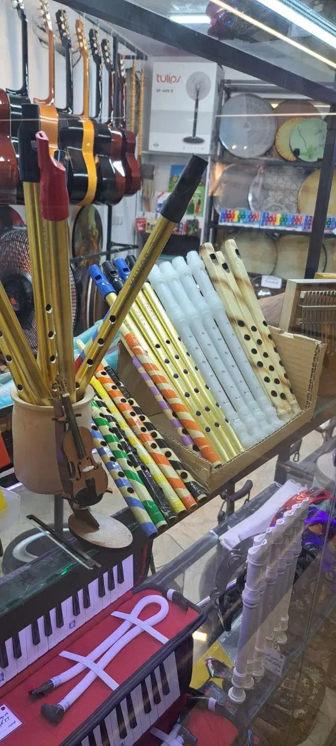 انواع فلوت|سازهای بادی|اصفهان, ارزنان|دیوار