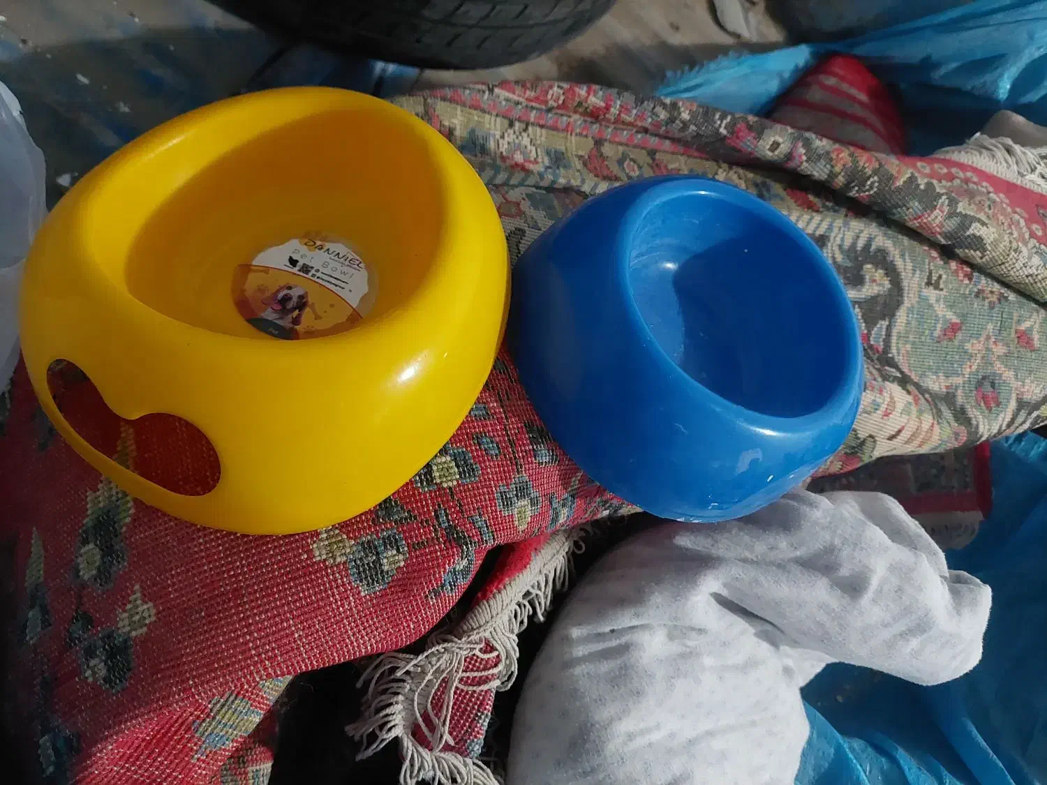 وسایل نگهداری سگ پا کوتاه|لوازم جانبی حیوانات|بجنورد, |دیوار