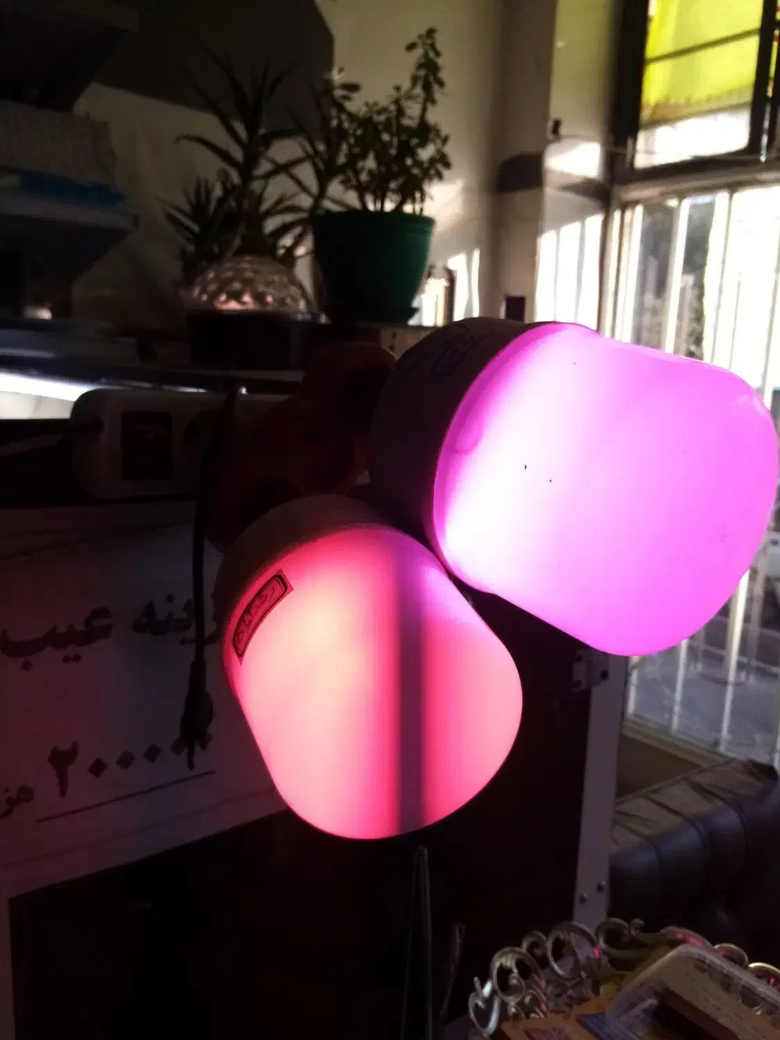 فروش لامپ و پرژکتور رشد گیاه|لامپ و چراغ|اراک, |دیوار