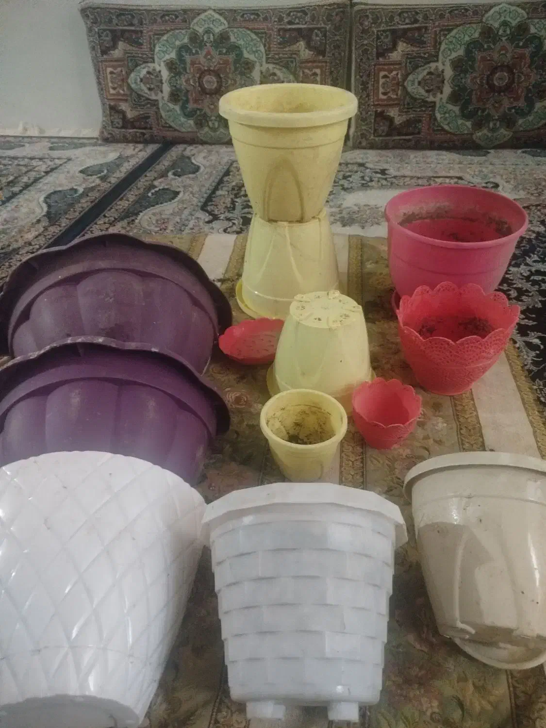 گلدان|گل و گیاه طبیعی|مشهد, حسین‌آباد|دیوار