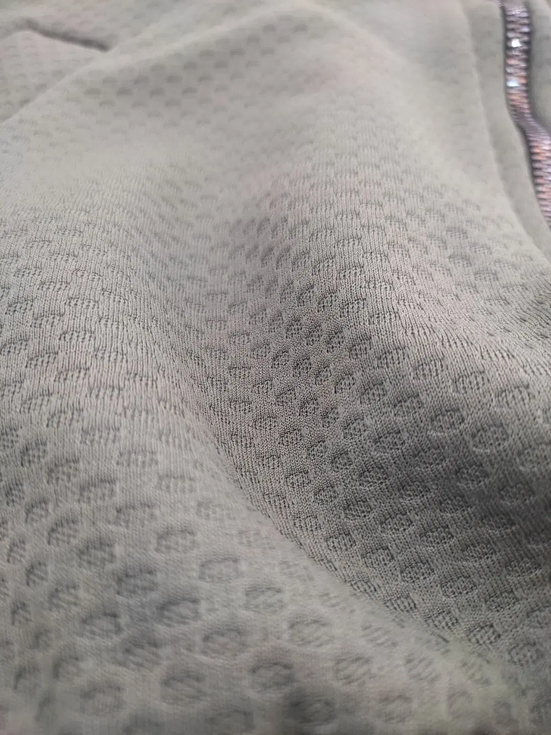 هودی|لباس|فسا, |دیوار