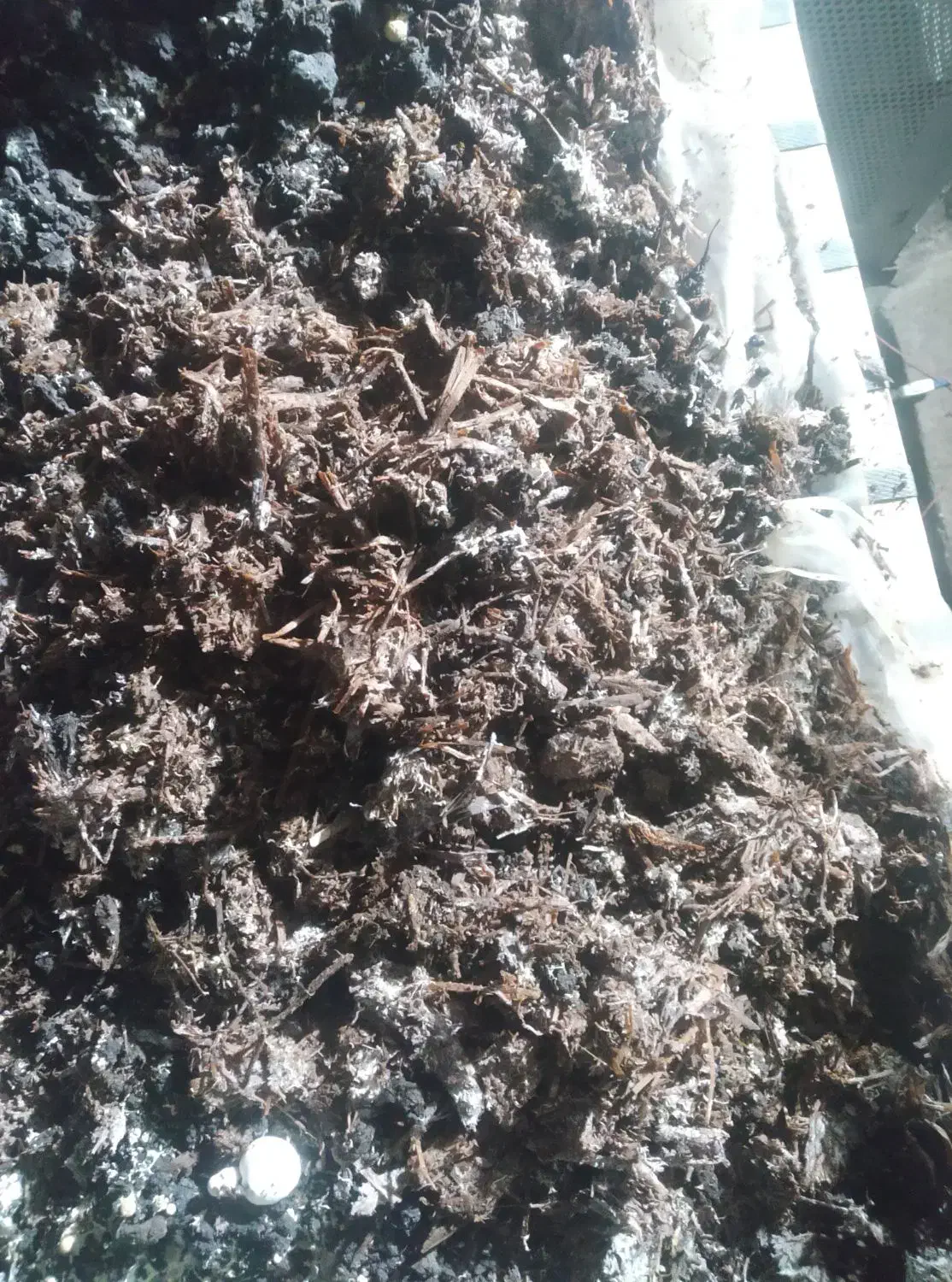 کود کمپوست قارچ|خدمات باغبانی و درختکاری|نیشابور, خط کاشمر|دیوار