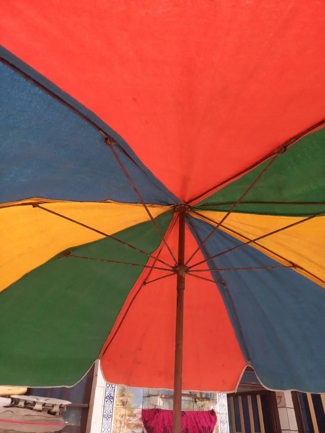 چتر بسطی بزرگ|کوهنوردی و کمپینگ|اهواز, کوی شایسته|دیوار