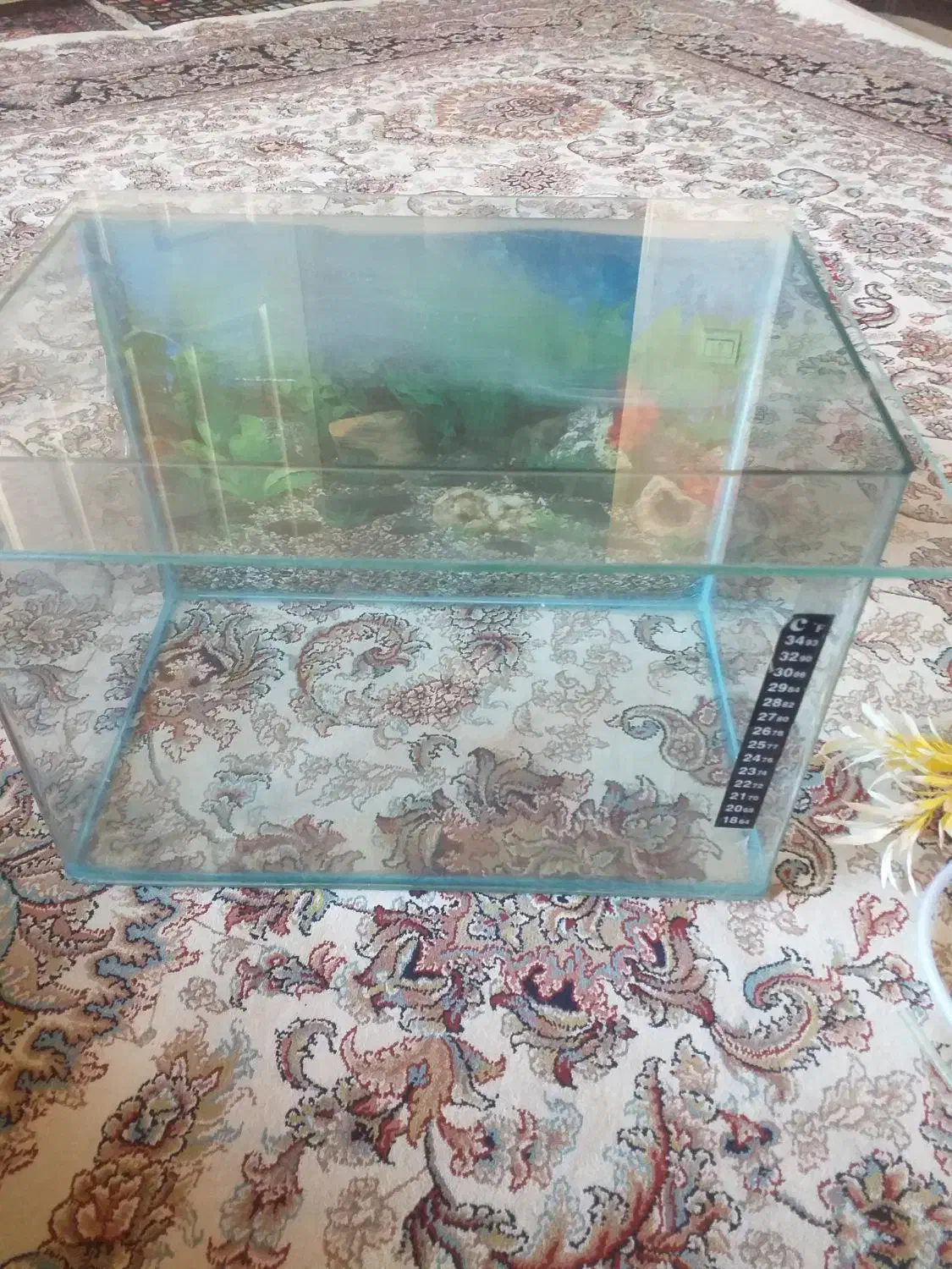 آکواریوم|لوازم جانبی حیوانات|سنندج, |دیوار