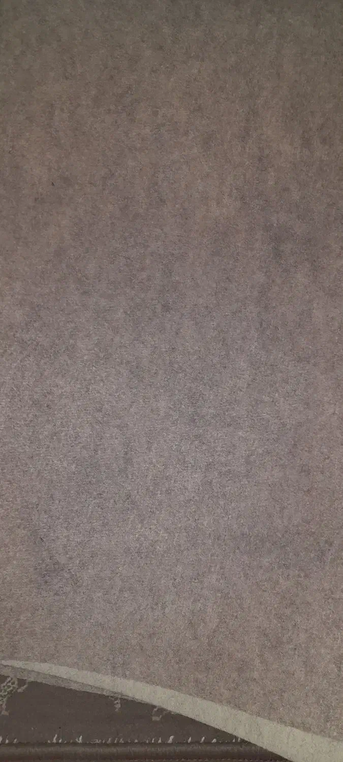 موکت|موکت|رشت, دیانتی|دیوار